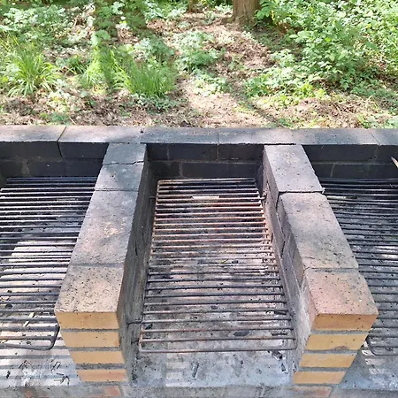 Le Nid Des Frenes - Au Coeur De La Nature * Boersch